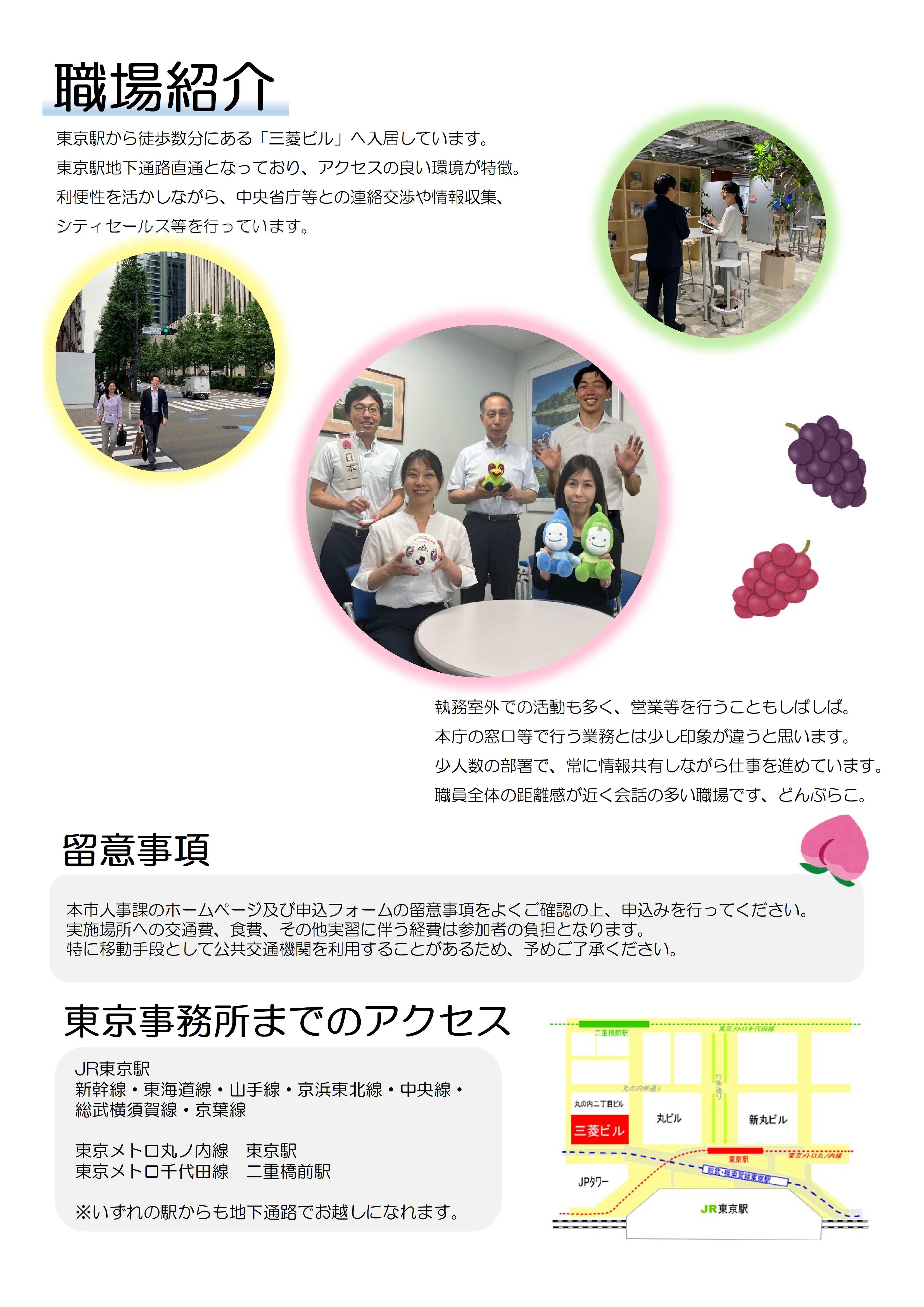 募集チラシ2枚目