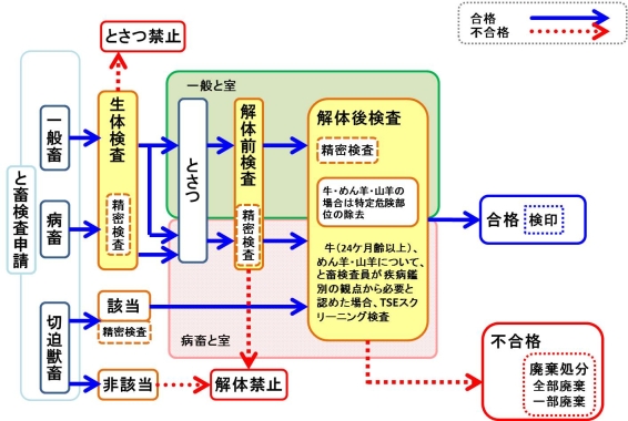 と畜検査の流れの画像