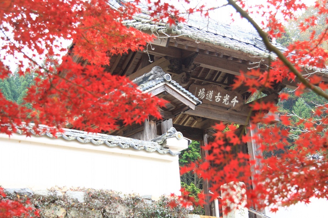 栄西禅師得度の安養寺紅葉