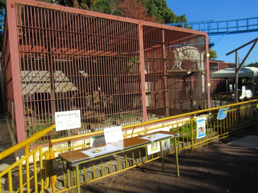 動物園のホワイトタイガーのオリの画像