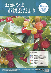 ナンバー132