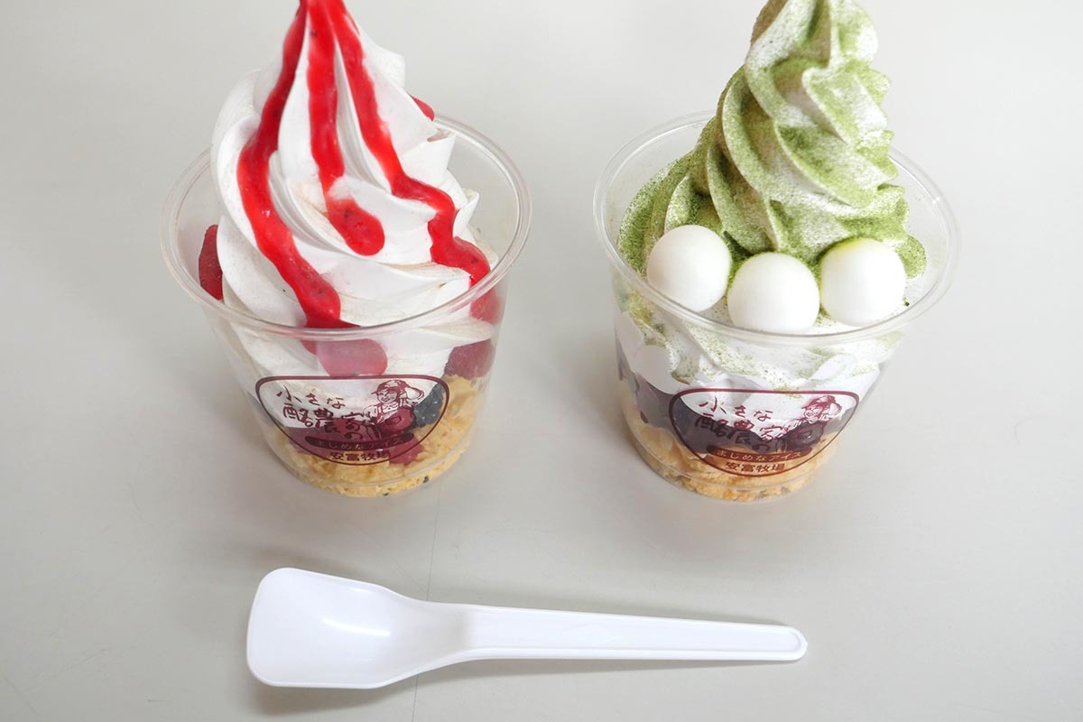 アイスクリーム2つとバイオマスプラスチックのスプーンの写真
