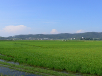 広大な干拓地（水門地区）の写真