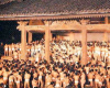 西大寺会陽（はだか祭り）の写真