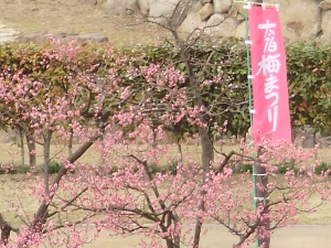 梅園 神崎 【神崎梅園】アクセス・営業時間・料金情報