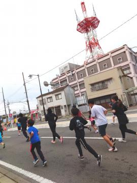 コース