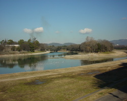 西川緑公園の写真