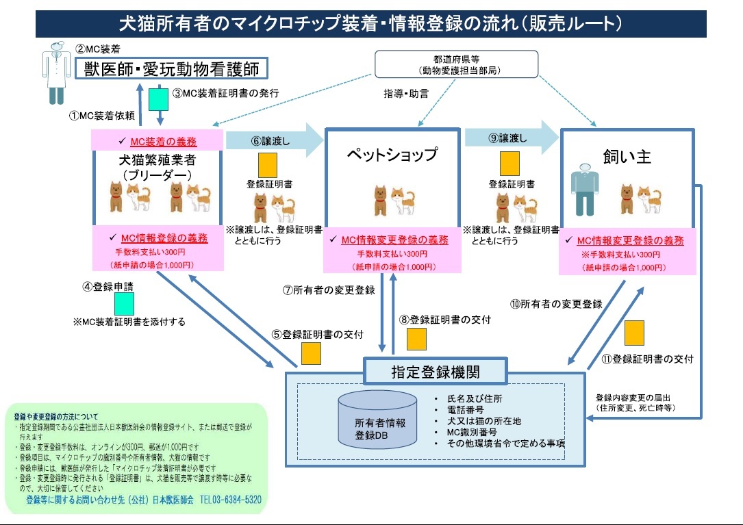 販売ルート