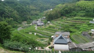 棚田の風景