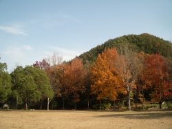 三徳園（小鳥の森）の写真