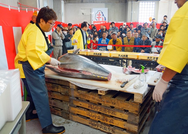 マグロの解体ショー＆即売会の画像