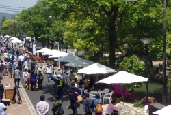 西川緑道公園　(歩行者天国の賑わい)の写真