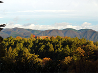 たけべの森公園秋の写真1