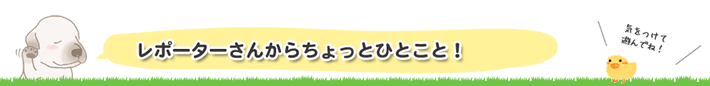 ちょっとひとこと