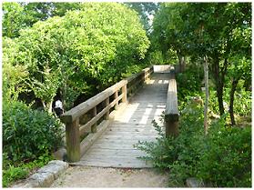 ふるさとの森（遊歩道）の画像