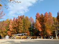秋の県総合グラウンド2