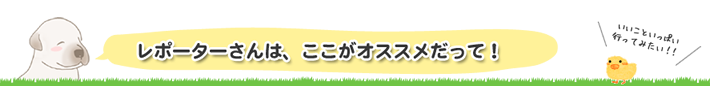 ここがオススメ