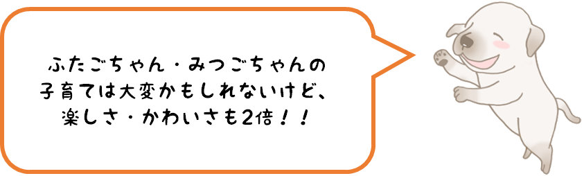 ふたごちゃん・みつごちゃんの子育ては大変かもしれないけど、楽しさ・かわいさも2倍！！