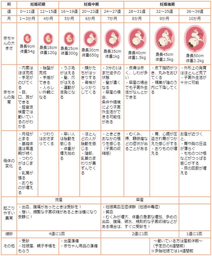 赤ちゃんと母体変化の早見表