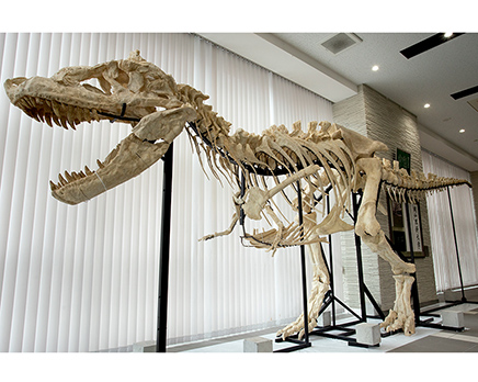 岡山理科大学 恐竜学博物館の写真