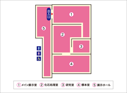 見取り図