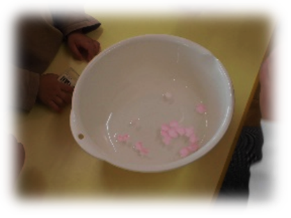 洗面器に花を浮かべている写真