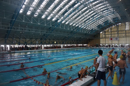 第57回岡山市学童水泳記録会の様子　その1