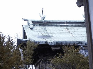 玉井宮本殿屋根の写真