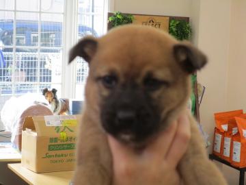 1D2025123(甘平くん)