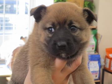 1D2025127(あすみちゃん)