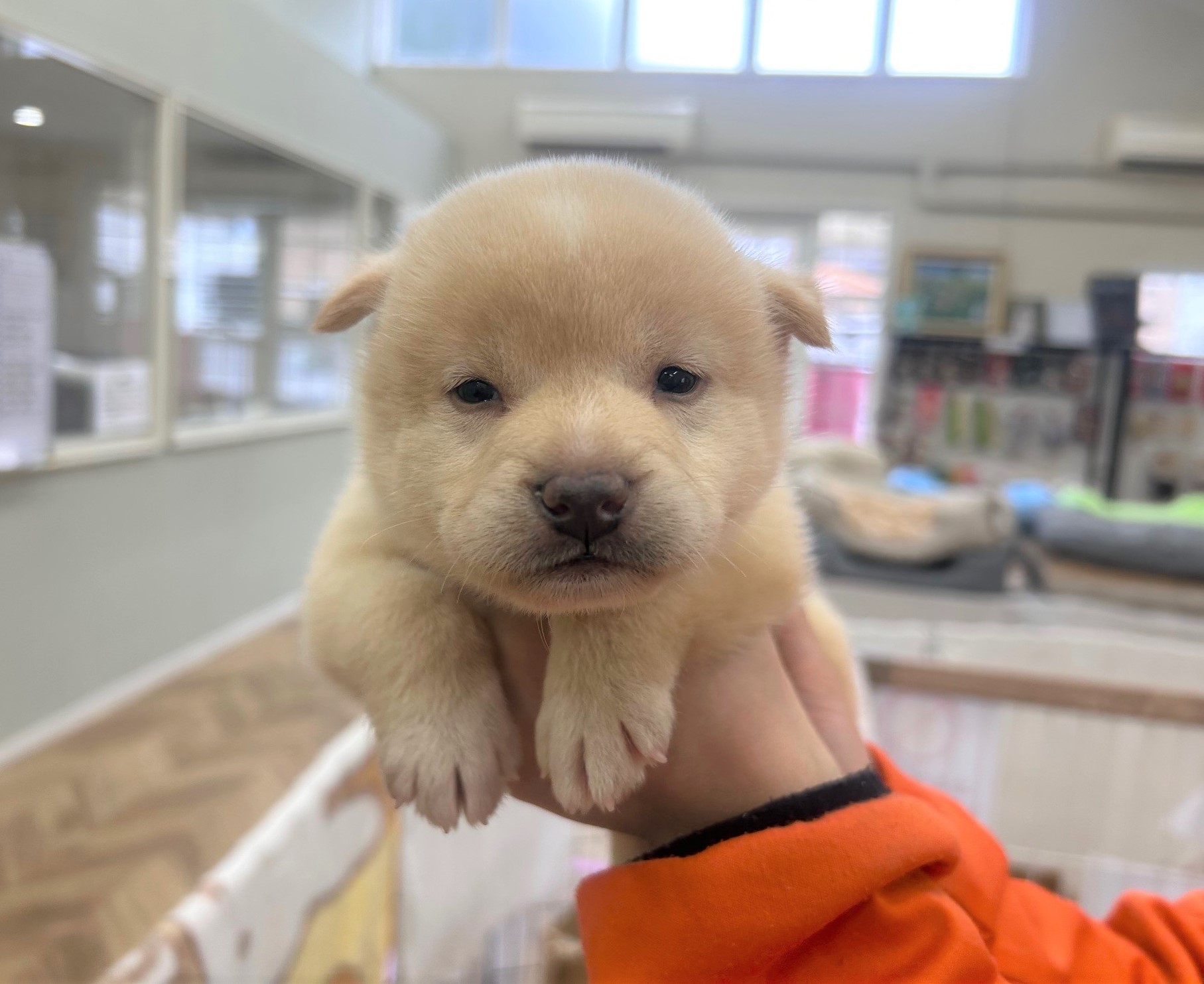 1D2025113(あおくん)