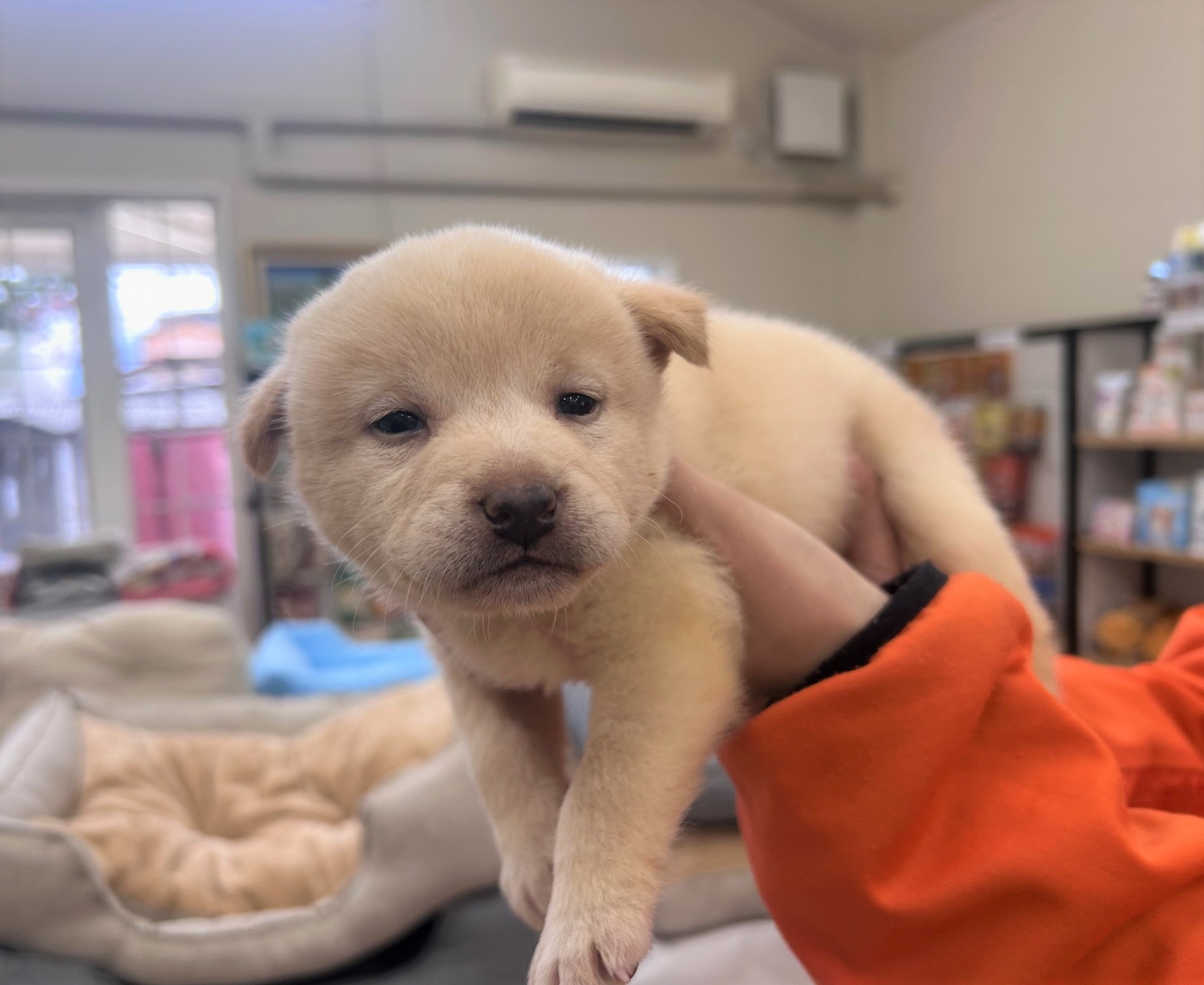 1D2025116(キィちゃん)