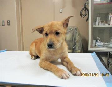 1D2025153(ちーくん)2