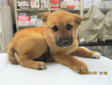 1D2025155(フブキくん)1