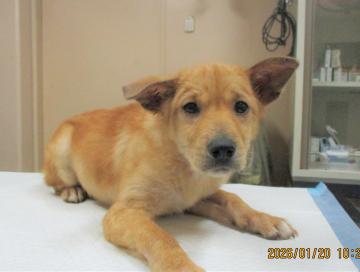 1D2025153(ちーくん)1