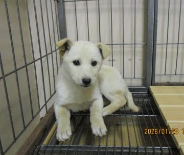 1D2025167(ゆきちゃん)