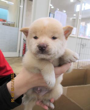 1D2025113(あおくん)2