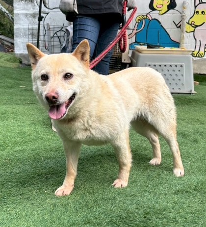 1D2025169(福ちゃん)