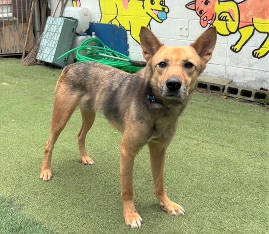 1D2024086(テラ君)