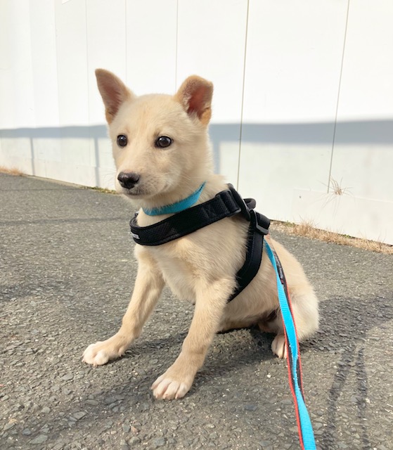 1D2025159(しずくちゃん)