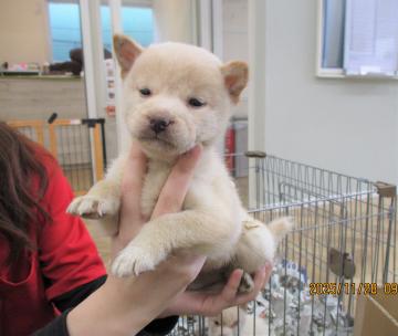 1D2025116(キィちゃん)2