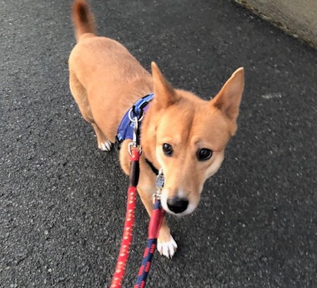 1D2024154(キキちゃん)