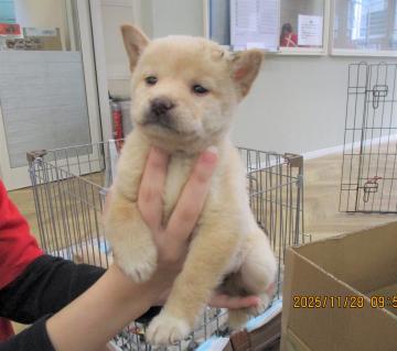 1D2025117(キピちゃん)2