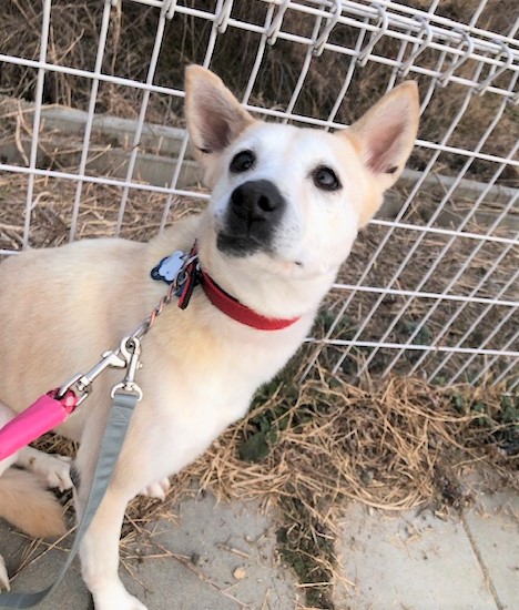 1D2025088(みまちゃん)