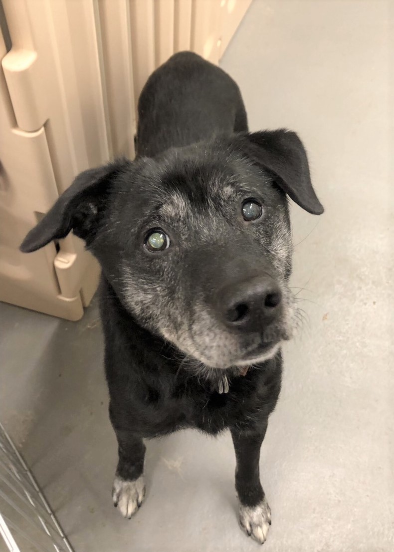 1D2025122(オジーくん)