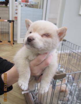 1D2025115(モモちゃん)2