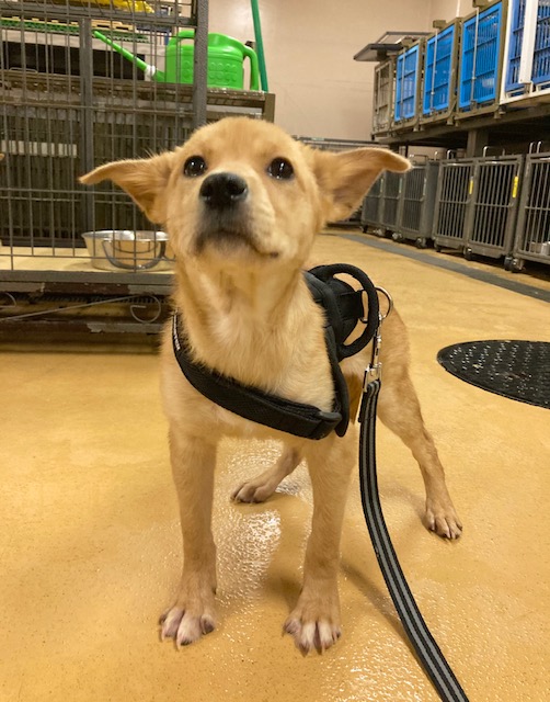 1D2025153(ちーくん)1