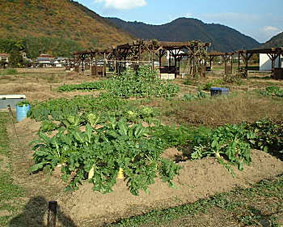 普通農園（小）の写真