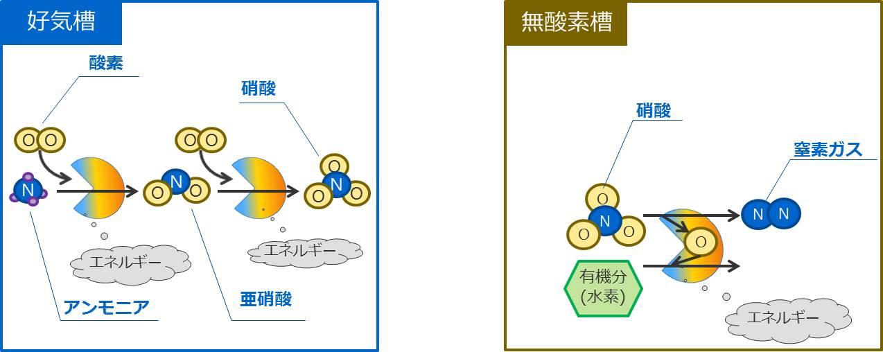 窒素除去の画像