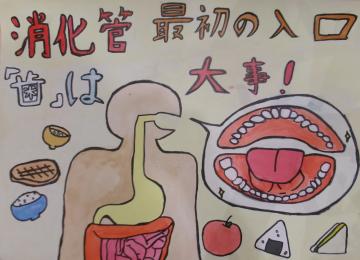 佳作小学6年生
